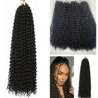 Kinky Curled Feather Hair Extensions